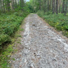 23-09-18 12-15-58 7032